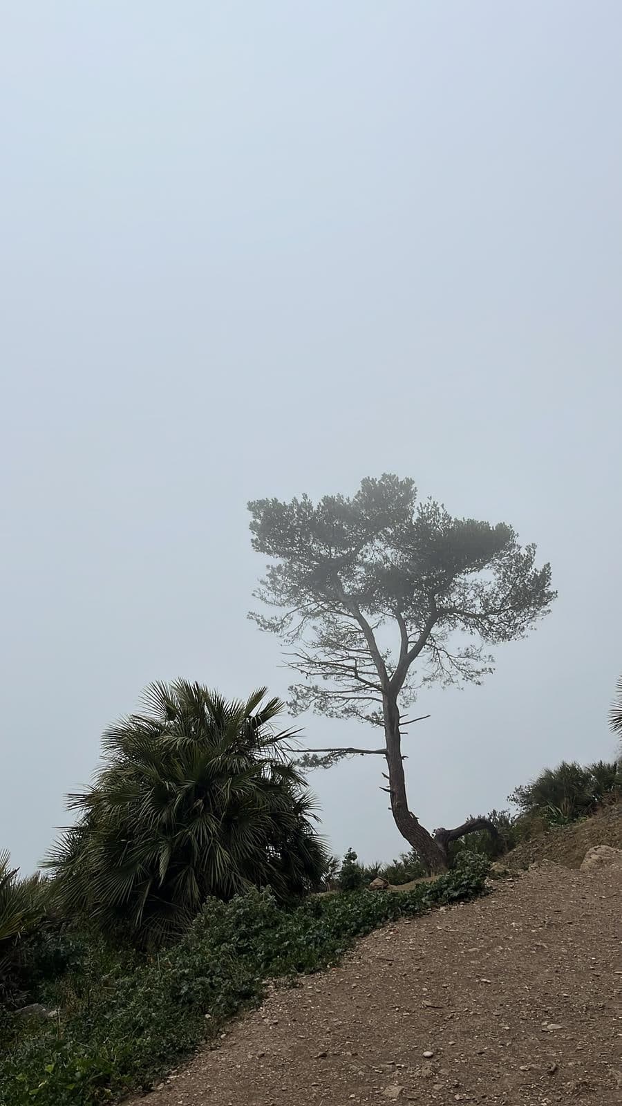Verschneite Bergkette im Winterlicht